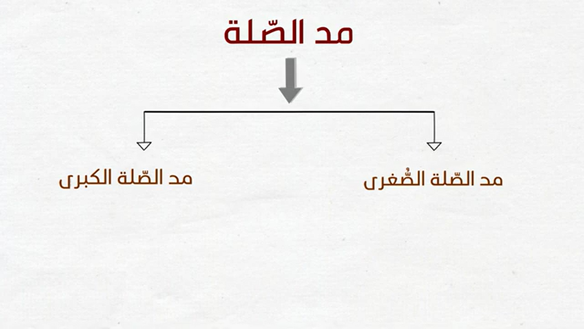 12 - المد الصلة الصغرى والكبرى - أحكام المد